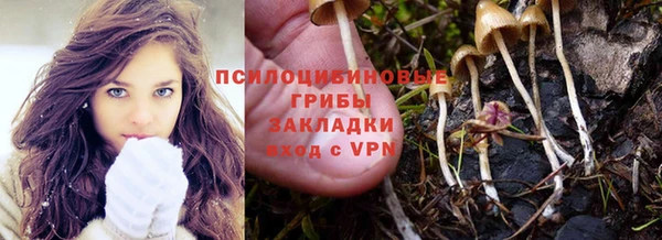 сатива Алзамай
