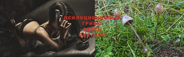 сатива Алзамай