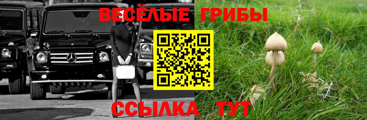 Псилоцибиновые грибы Magic Shrooms  цены   Коряжма  Вход с VPN 