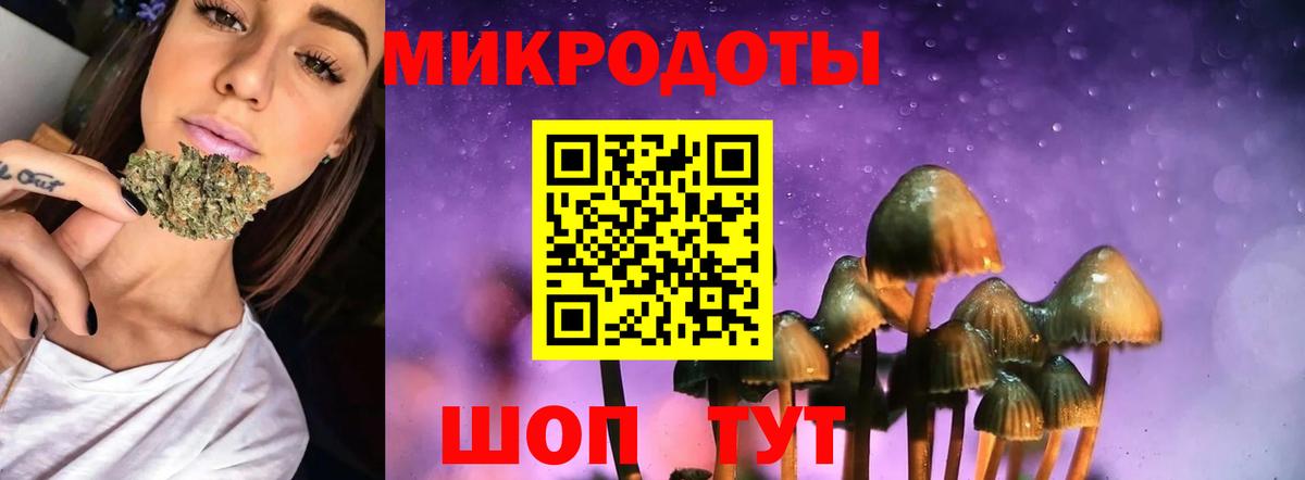 Псилоцибиновые грибы прущие грибы Коряжма